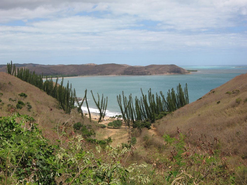 La Baie des Tortues by DEFALT