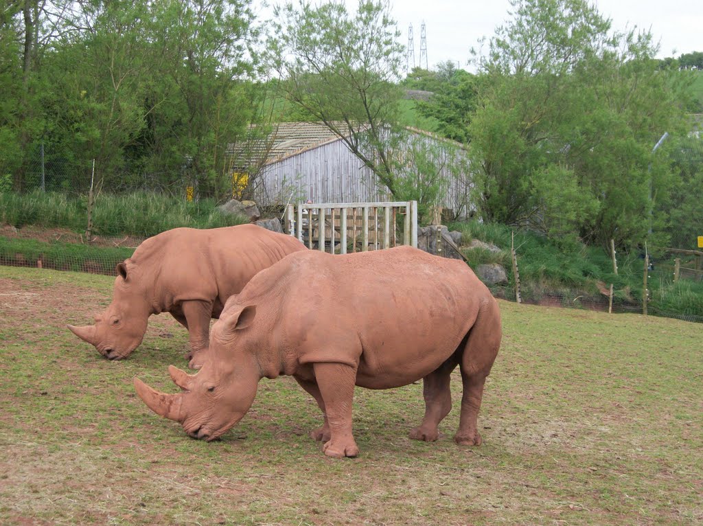 South Lakes Wild Animal Park by glennace