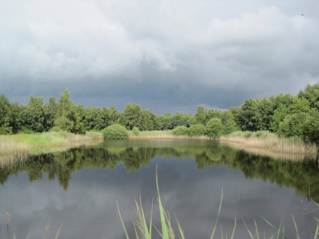 Vledderbos, Donkere wolken boven Onstwedde en Vlachtwedde by Johan Zuidema