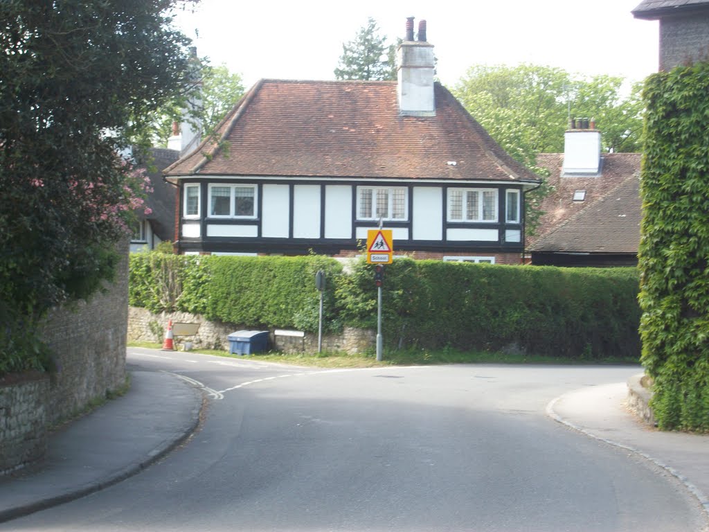 Gracious Road, Selborne by Robert'sGoogleEarthPictures