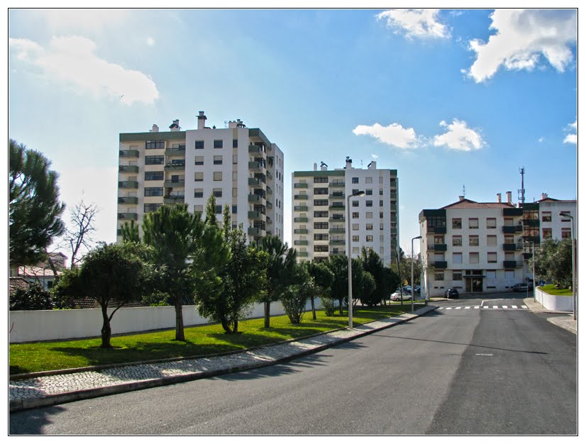 Rua Cesário Verde by Barragon