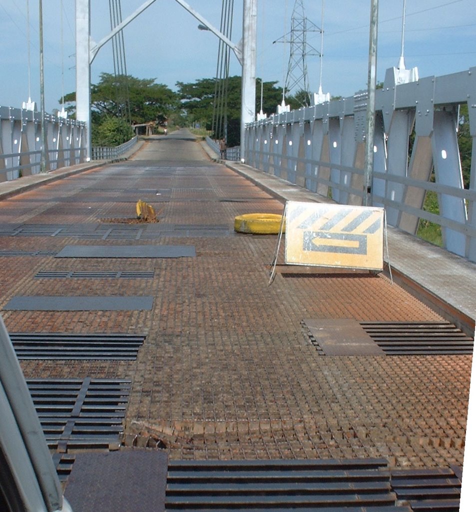 Bridge on the Rio Apure by CadeJ