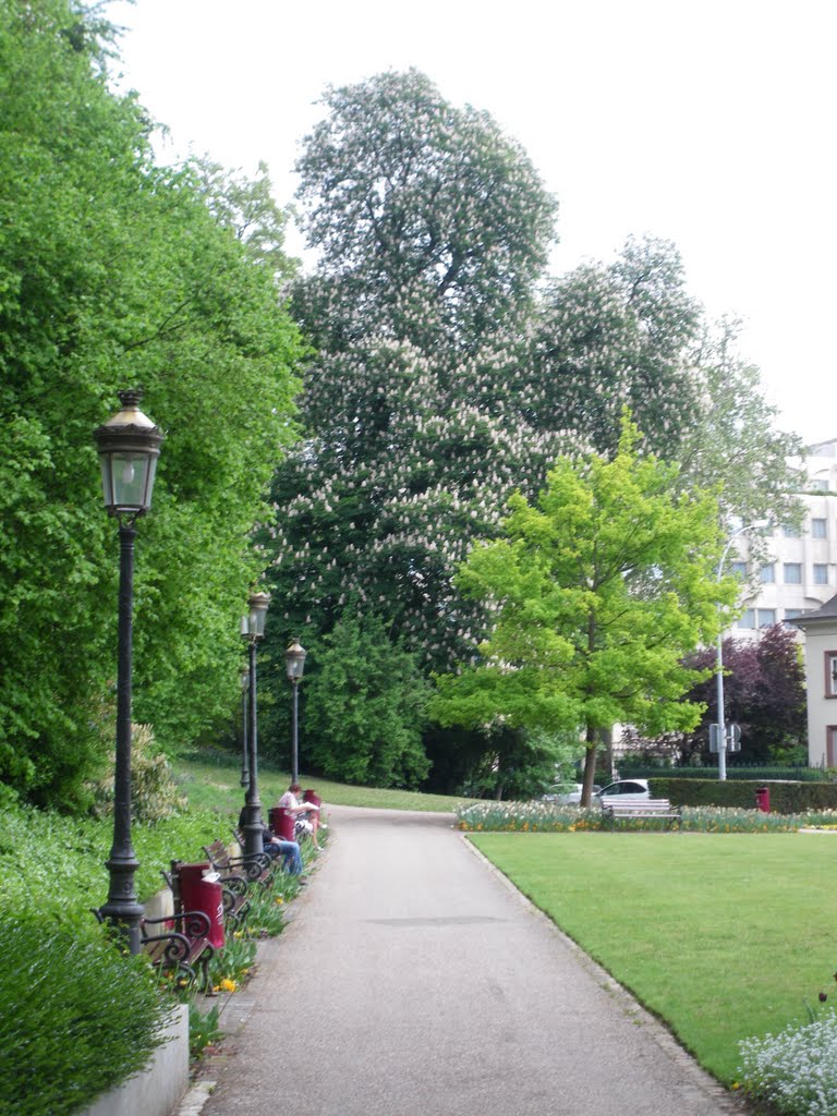 Luxembourg Ville , Park by PIG Panos I Gyftopoulos