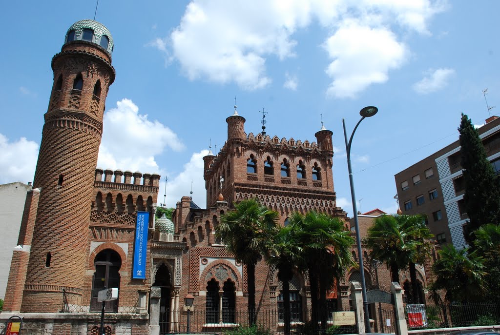 PALACIO LAREDO. ALCALÁ DE HENARES by angbar11