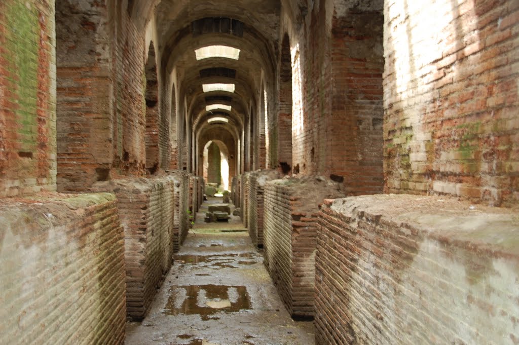 Anfiteatro di Santa Maria Capua vetere by ardnaif