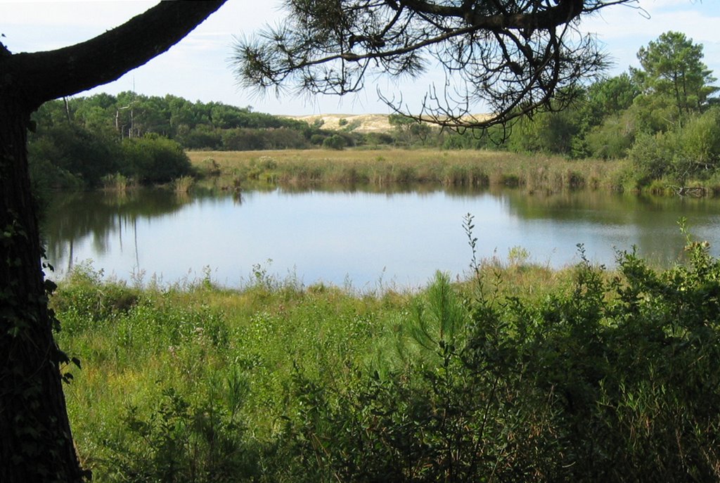 Le marais de la Pipe by yangar