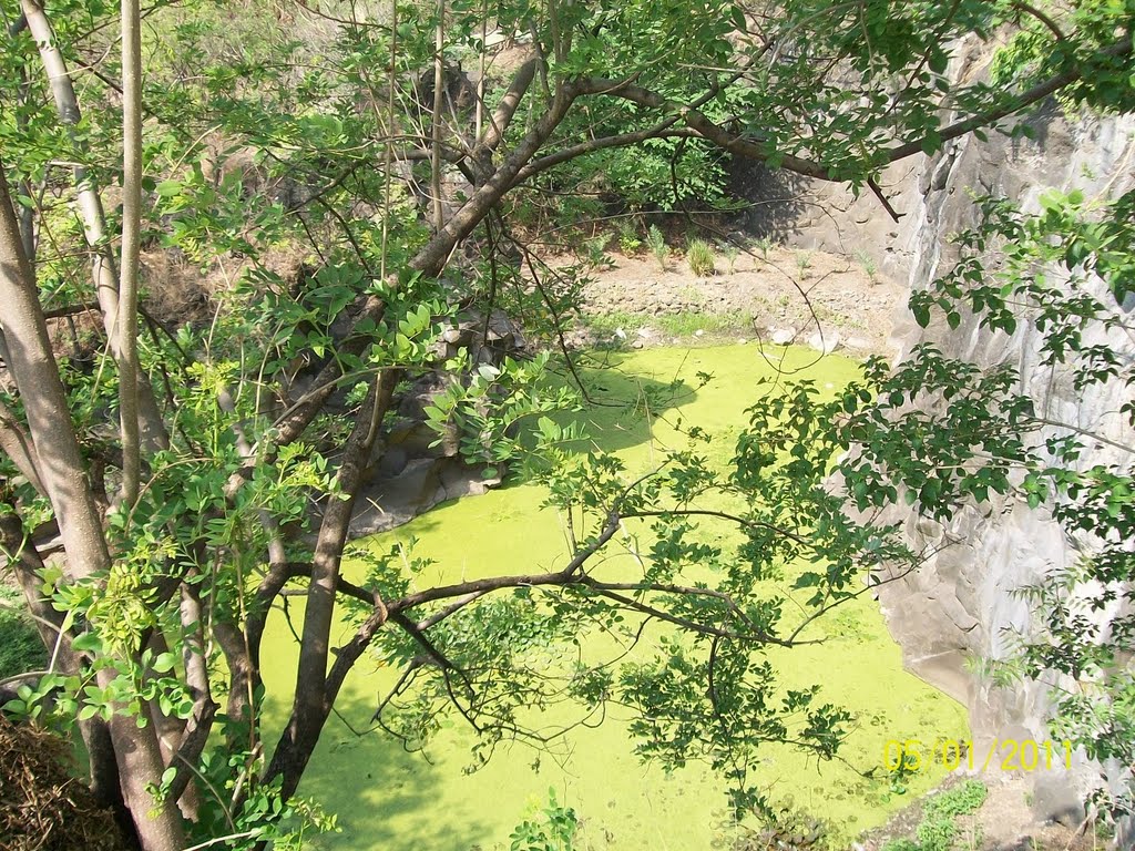 Quarry covered with moss by D.S.Patil