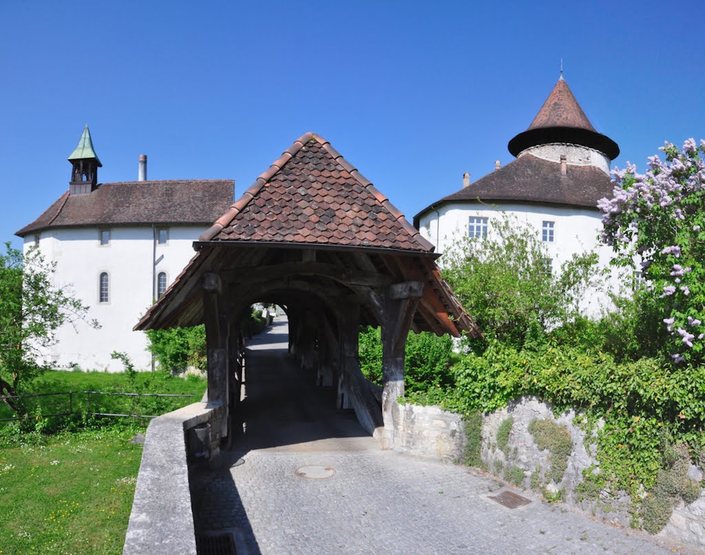 Schloss Zwingen by schnitzgeli