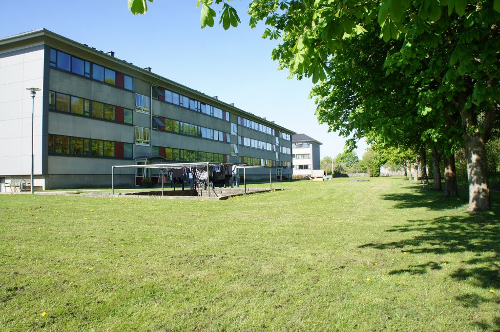 Aabenraa, ved Løgumklostervej, 1. maj 2011 by papkassen