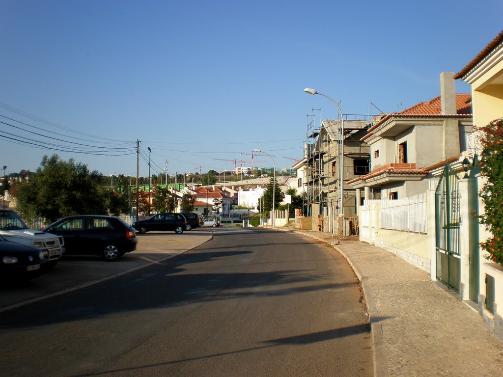 Rua dos Salgueiros by Nuno Trabulo