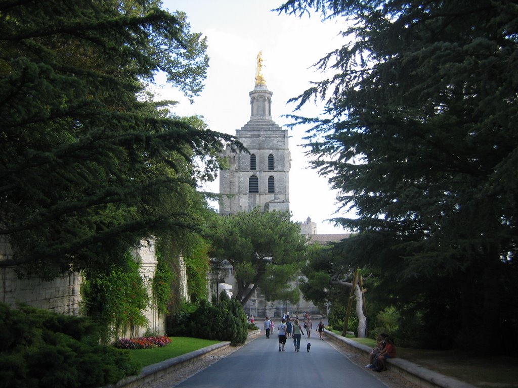 Avignon il campanile del palazzo (FR) by nicole e Gc