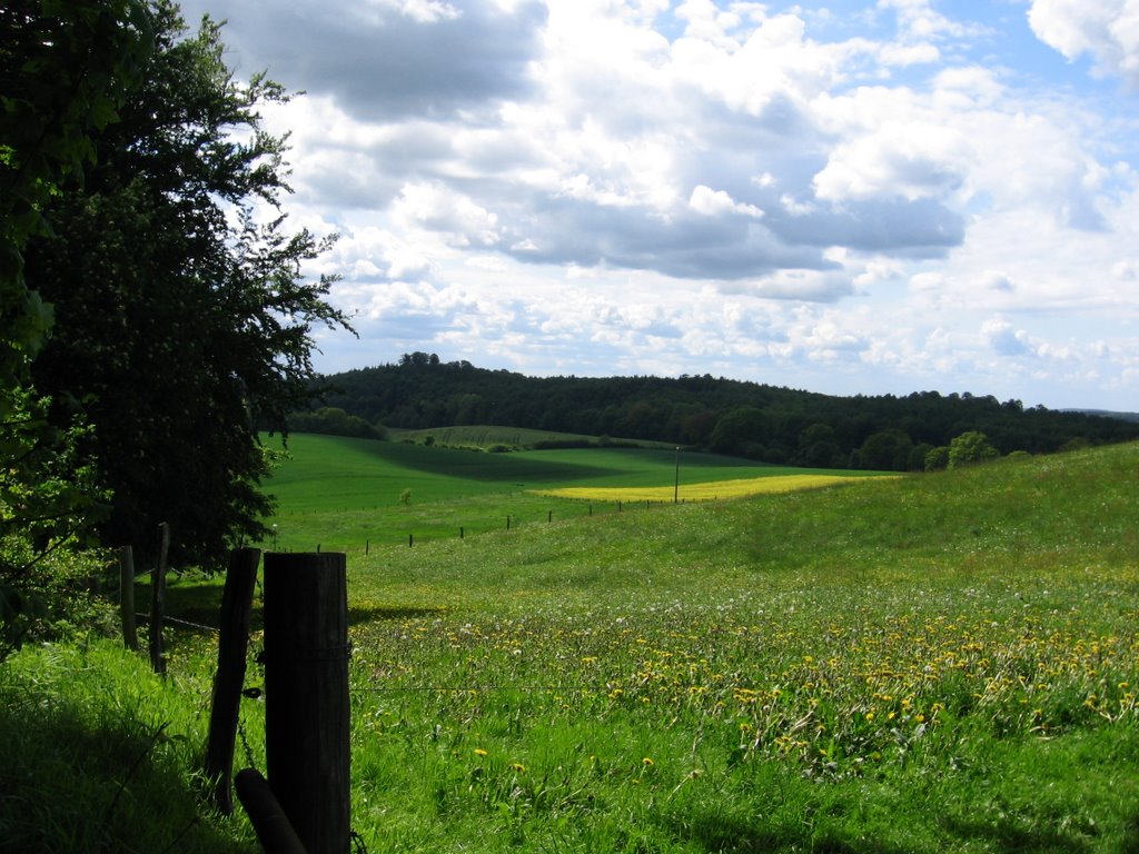 Sonne und Schatten auf den Wiesen am Bungsberg - Sun and Shadows on the landscape at the Bungsberg by Julian Z.