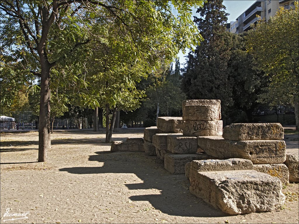 71009-03 ZARAGOZA. PARQUE BRUIL by VICMAEL