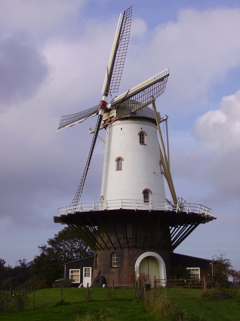 Veere - Le moulin by Jean-François RAFFIN