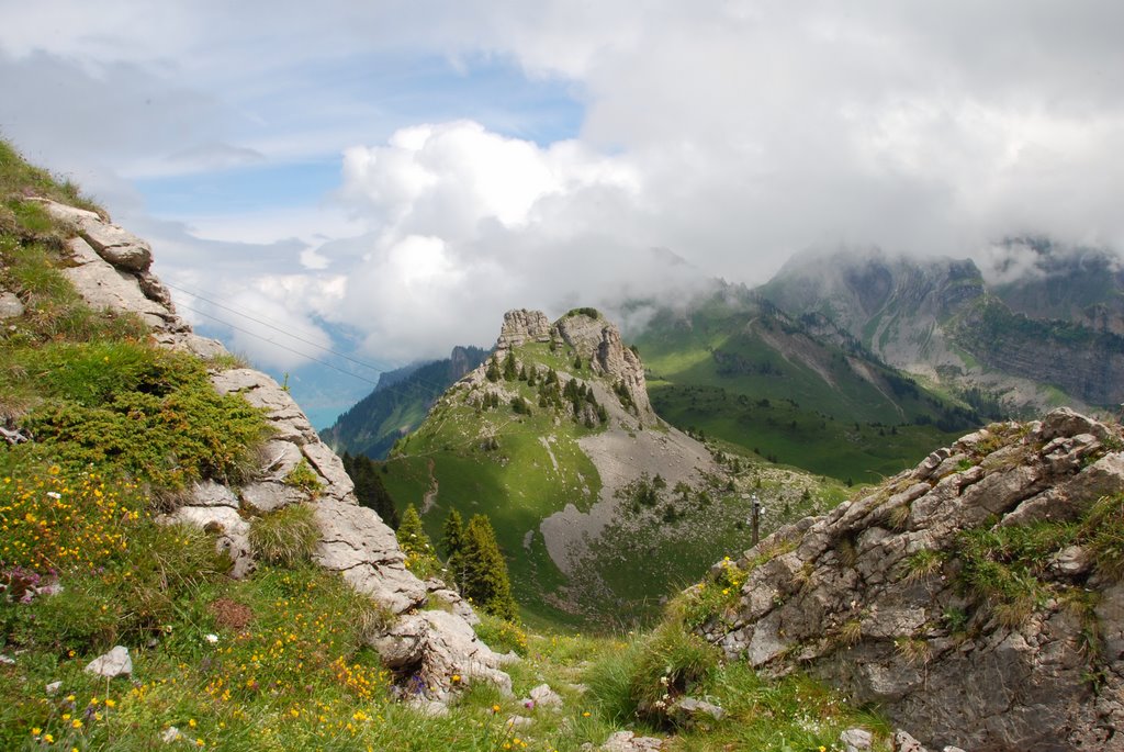 Schynige Platte by Jolein