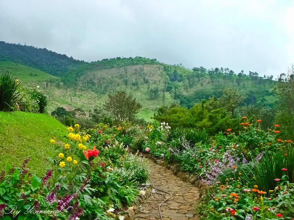 Hunas Falls hotel ,Kandy,sri lanka by yesmeena