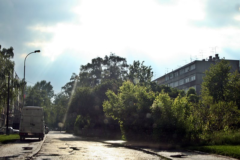 Ante Jakšića street - view to the west by -alex