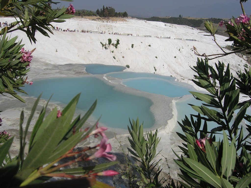 051 Pamukkale by Wil