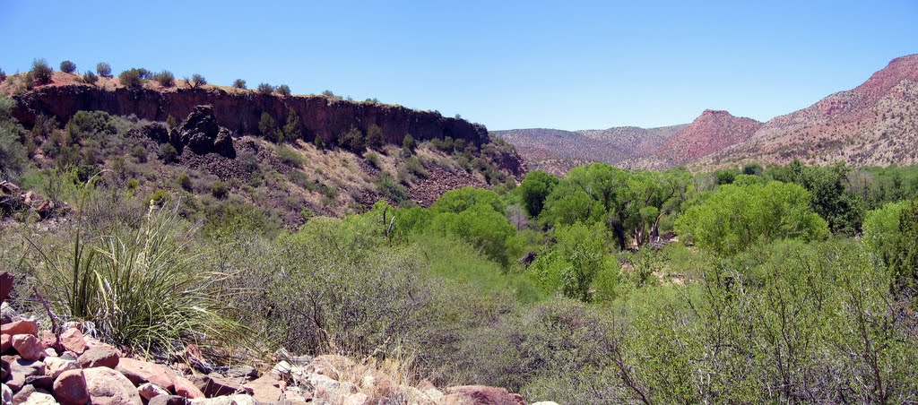 Sycamore Creek Panorama, 5-31-06 by DWill64