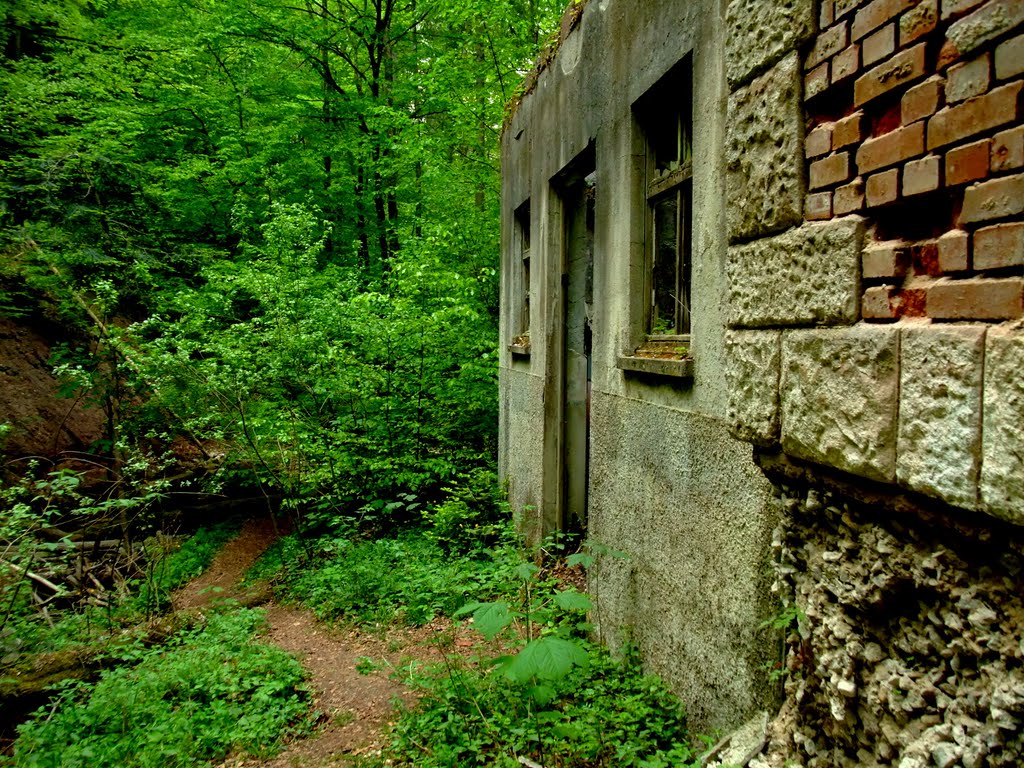 Altes Wasserkraftwerk Bauknecht bei der Klingenmühle by DerLuko