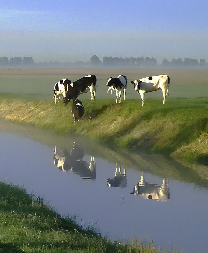 Pastorale..................... in early morningglow. by Feika