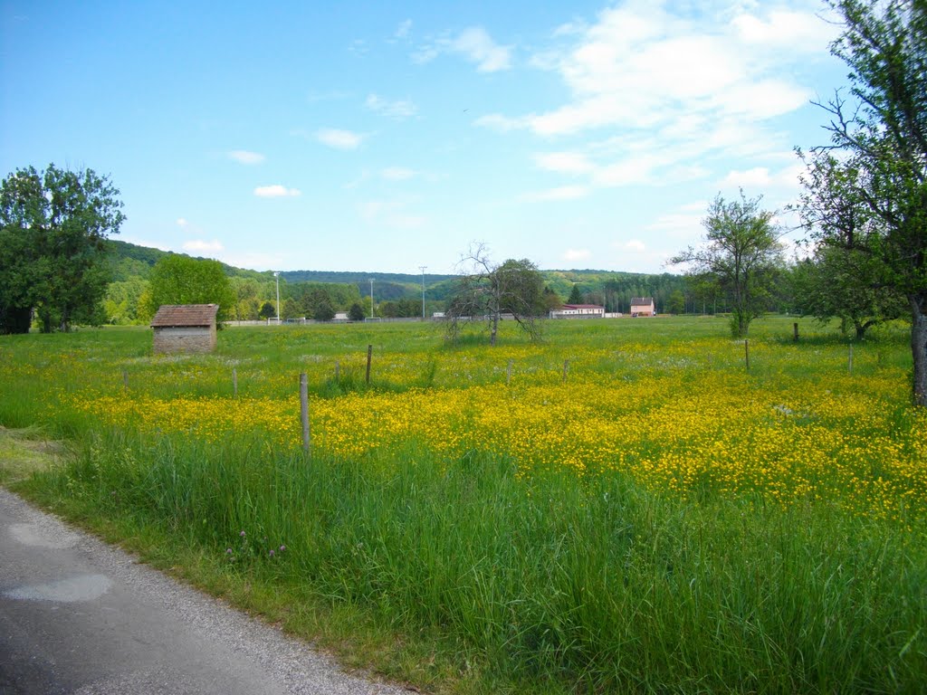 Prés des Lumes à L'Isle sur le Doubs by Claudius B.