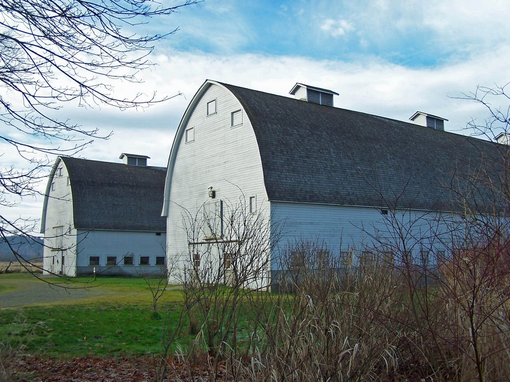 Barns at Nisqually by ingawh