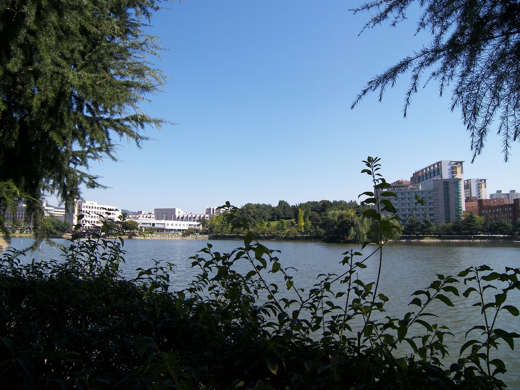 Ilgam Lake in Konkuk University by Hwa Jin Nam