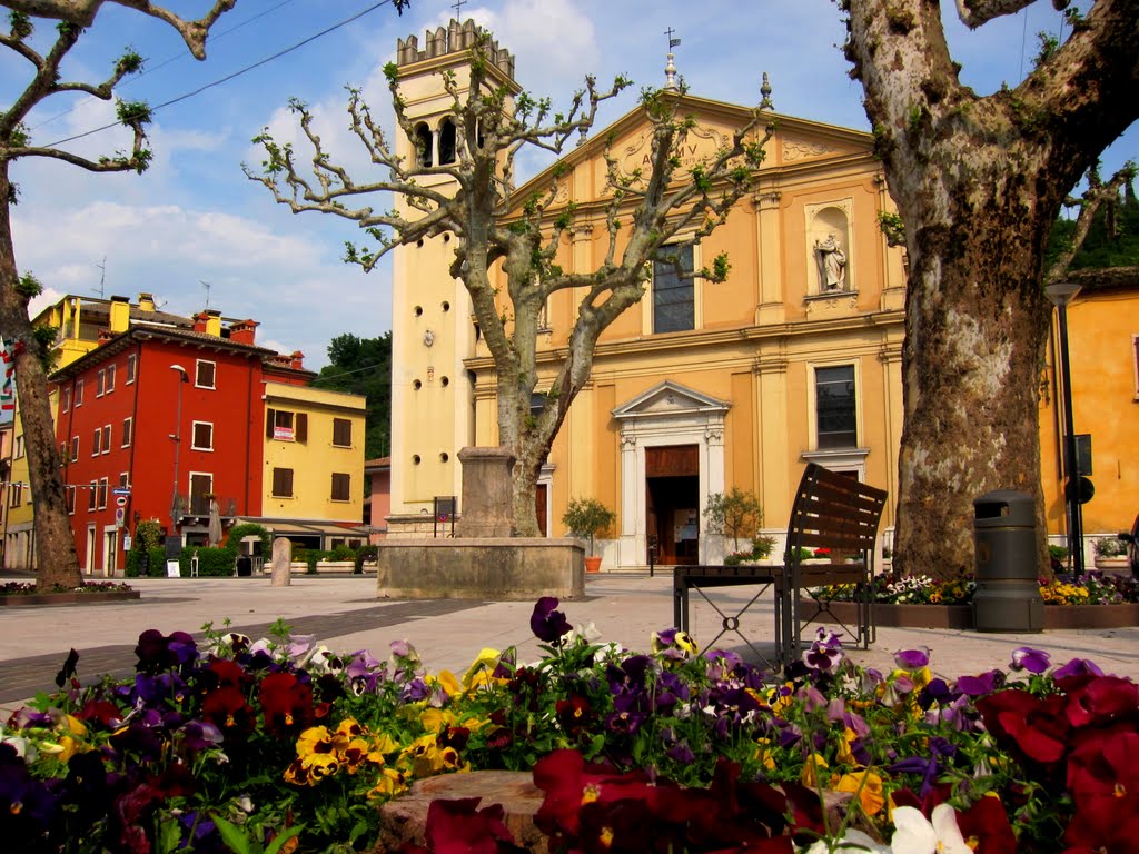 Garda - Viole del pensiero by Dino Danieli