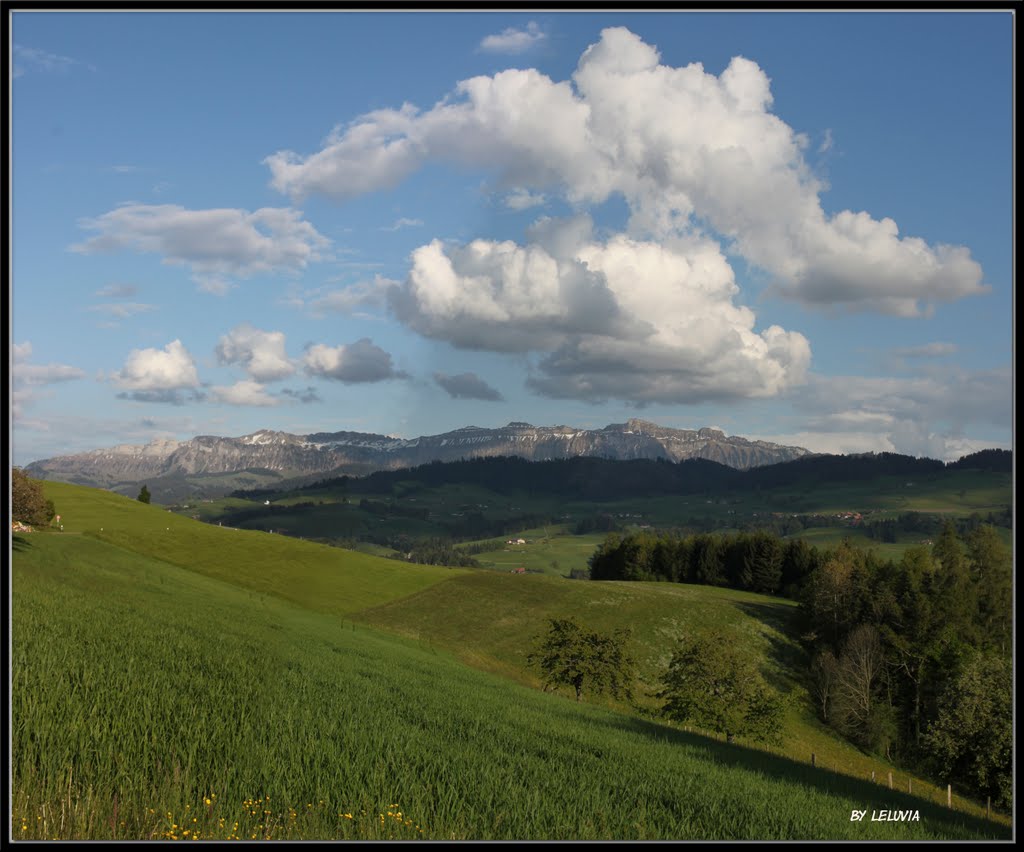 Obere Mürggen mit Sigriswilergrat by Leluvia