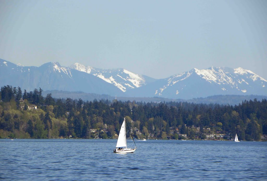 Sailling on Lake Washington by Todd Stahlecker