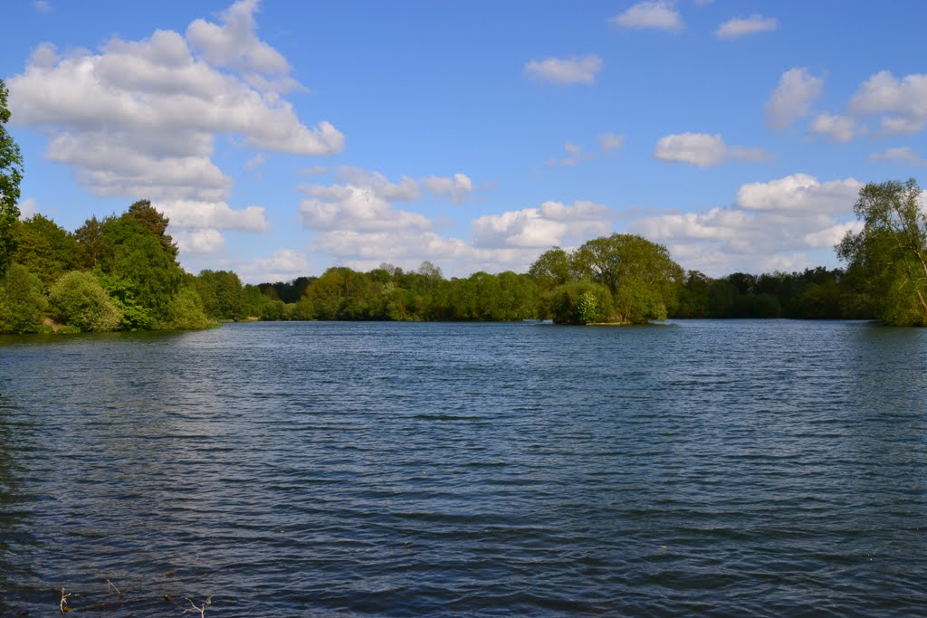 West Stow Country Park. by Bogdan O.357