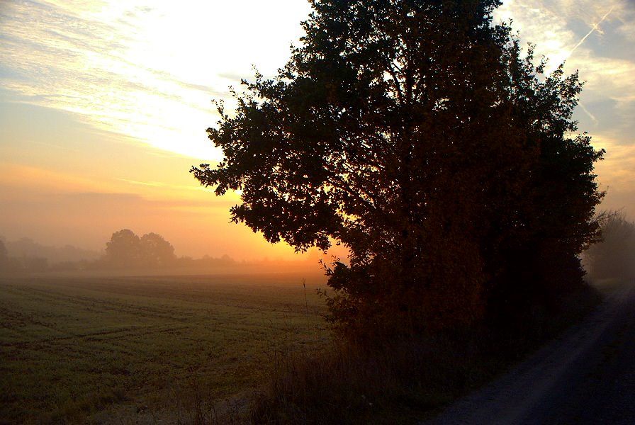 Sonnenaufgang Steige by Popey03