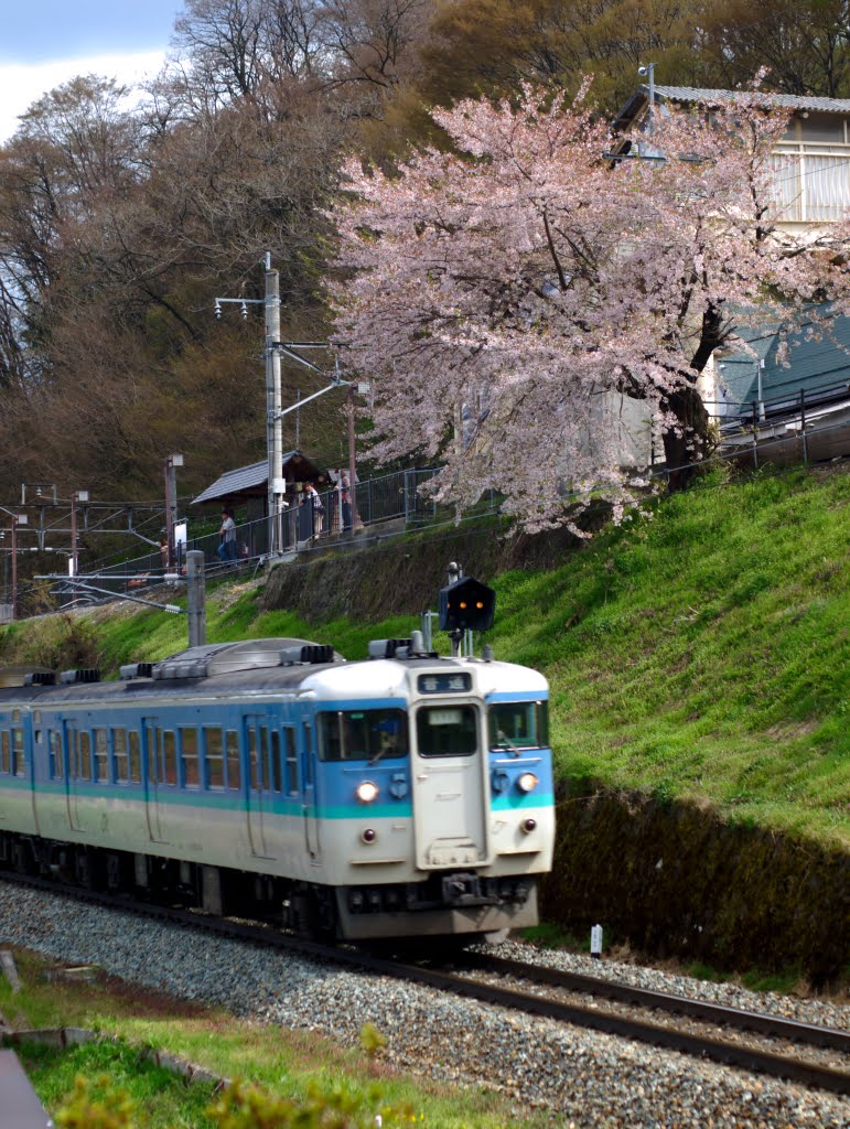 Obasute station in Spring by taoy (keep Panoramio)