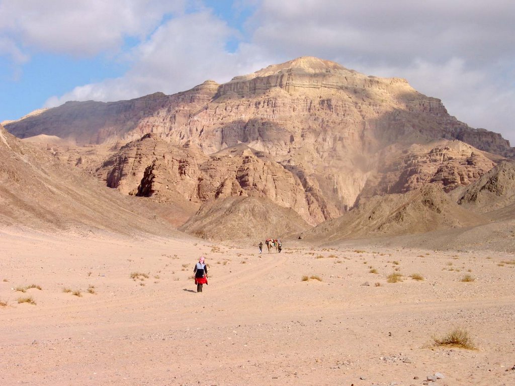 Qesm Nwebaa, South Sinai Governorate, Egypt by Benedikt Karpati