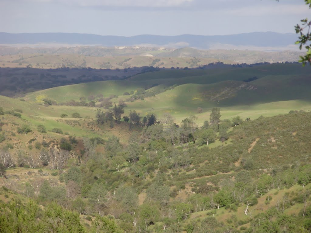 Coastal Range of California by Cassygirl