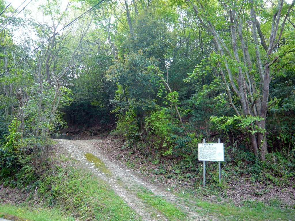 近内鑵子塚古墳の入口 The approach to Chikauchi Kansuzuka-kofun(tumulus) 2011.4.29 by as365n2