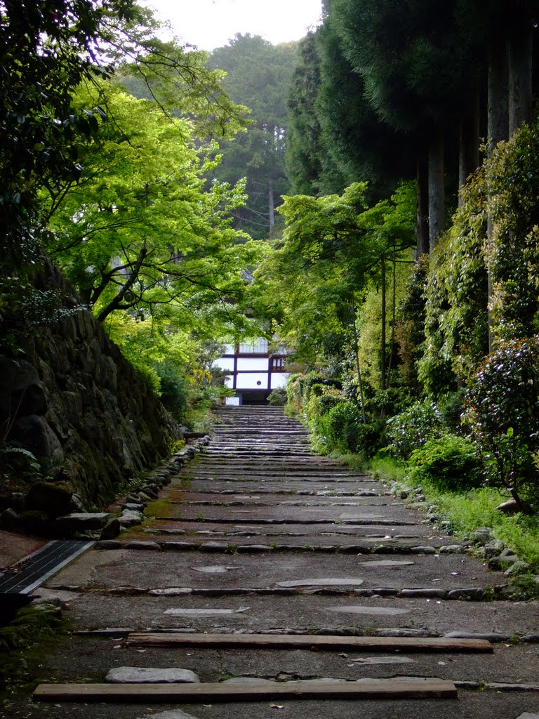 Shoden-ji 正伝寺 by boocoro