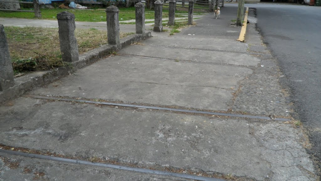 Antiguos Accesos al Patio y Estación de Turrialba. 05/11 by J Sanchez