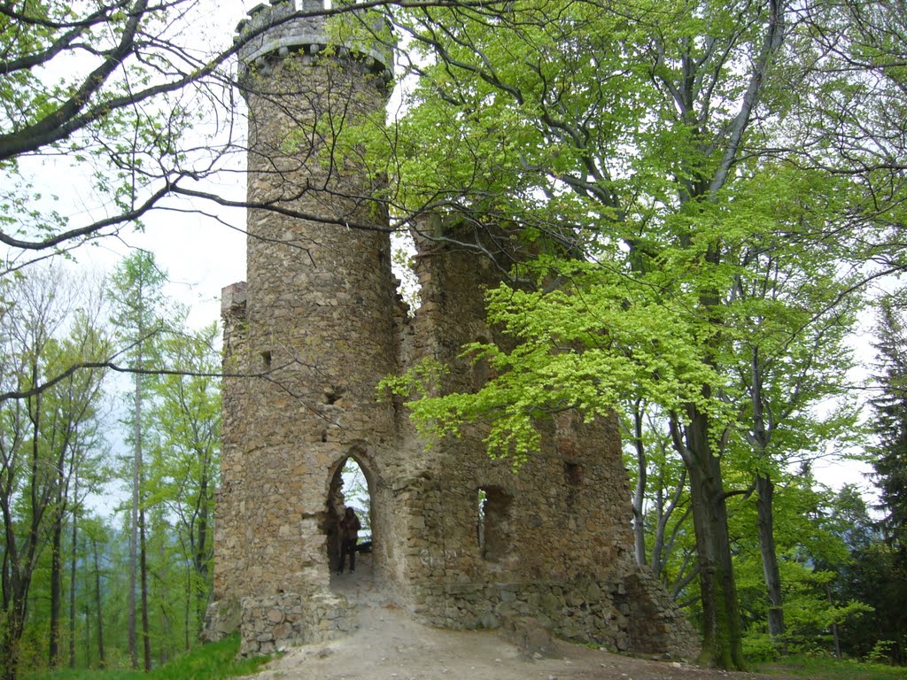 Zamek Grodna garsoniera Henryka von Reuss by paweł morawski