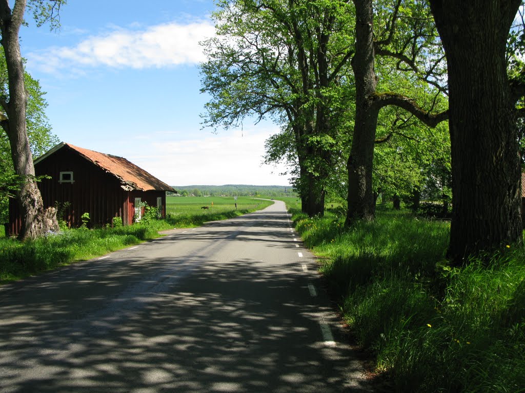 Along the road between Axvall and Varnhem 2010 by Biketommy