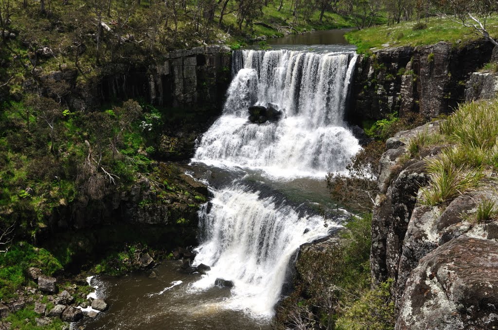 Ebor Falls, NSW by willsy