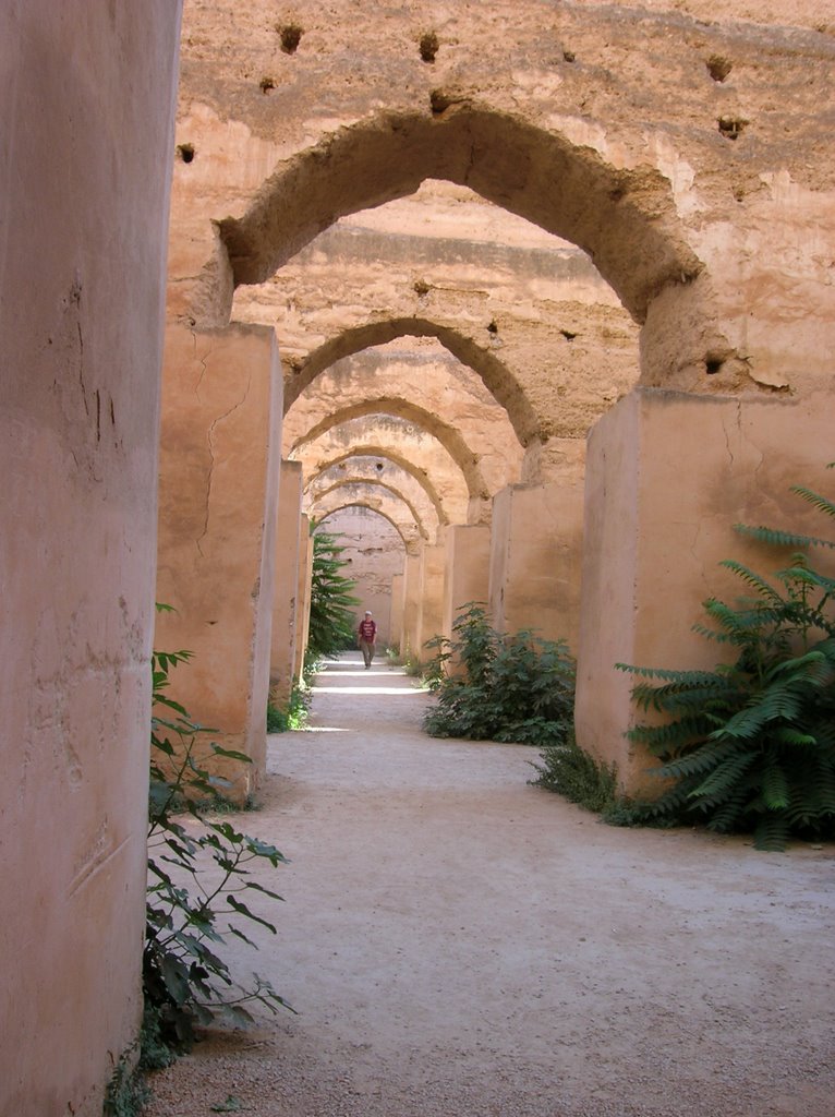 MEKNES by Franco Sartor