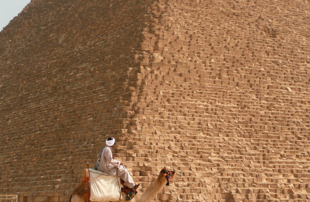 Cammello & Piramide in Egitto by LuPhotography