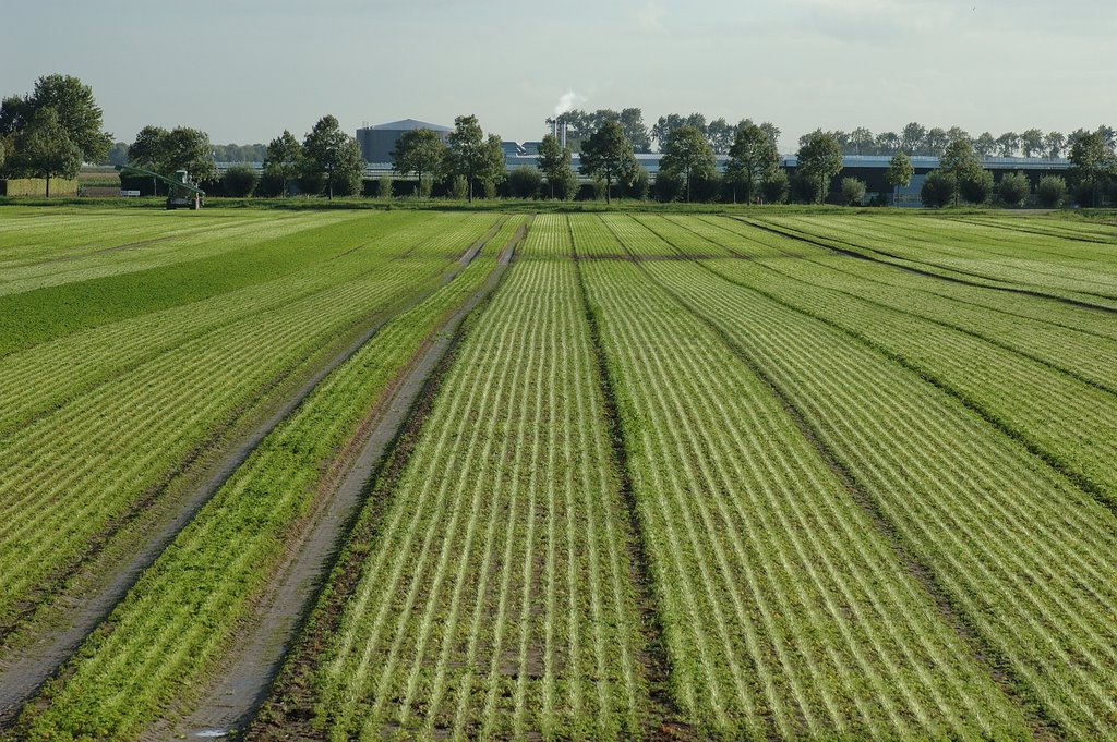 Zevenbergen vanaf de Markdijk by coravanhuik