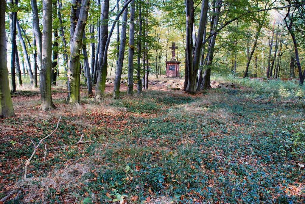 Wiączyń - Cmentarz żołnierzy rosyjskich i niemieckich 1914-1918 - Bitwa Łódzka (1914) / Wiaczyn – War cemetery of Russian and German soldiers fallen in Battle of Lodz (1914), one of the biggest battles of 1stWW. by Subjective Lodz