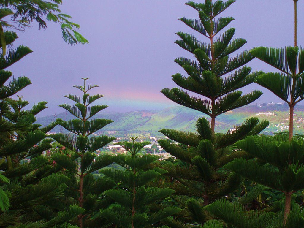 Ponce, Puerto Rico by JeanPaulRivera