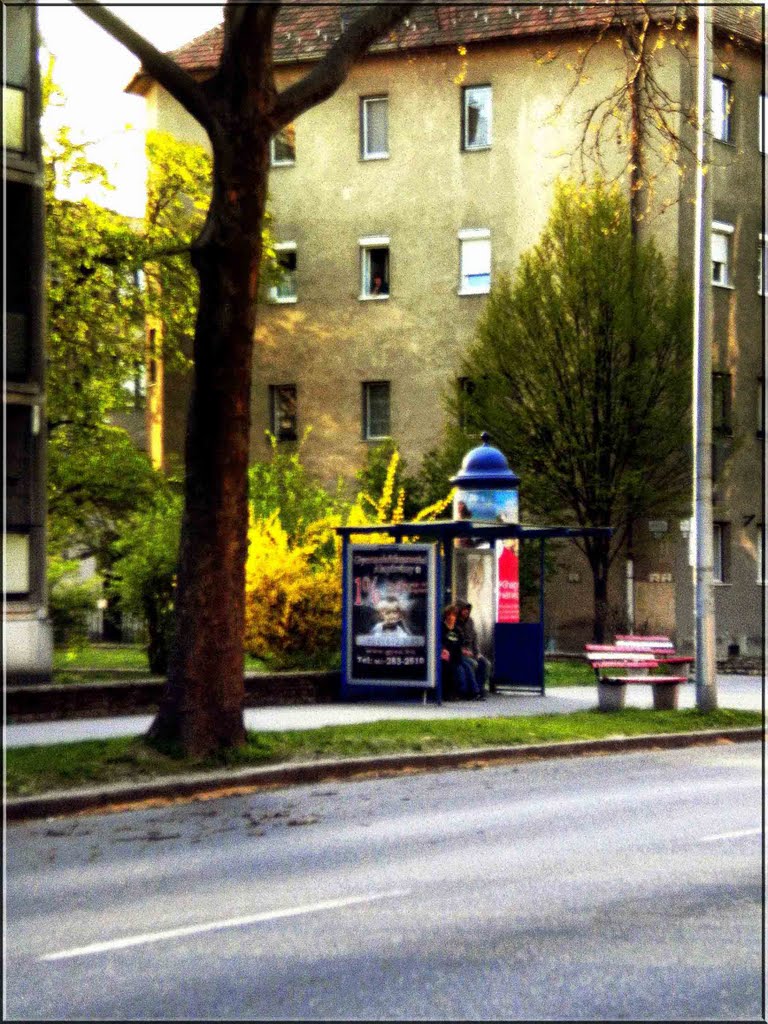 Győr - Nádorváros - Bartók Béla úti buszmegálló - BUS STOP by MoMof4