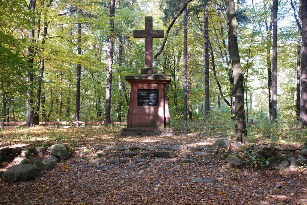 Wiączyń - Cmentarz żołnierzy rosyjskich i niemieckich 1914-1918 - Bitwa Łódzka (1914) / Wiaczyn – War cemetery of Russian and German soldiers fallen in Battle of Lodz (1914), one of the biggest battles of 1stWW. by Subjective Lodz