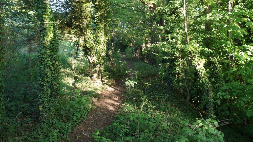 Footpath by Dennis Neill